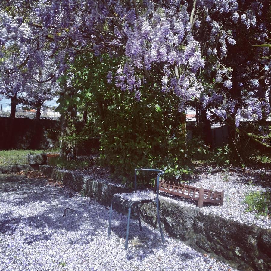 Figueiro Casa Da Costeira 빌라 외부 사진