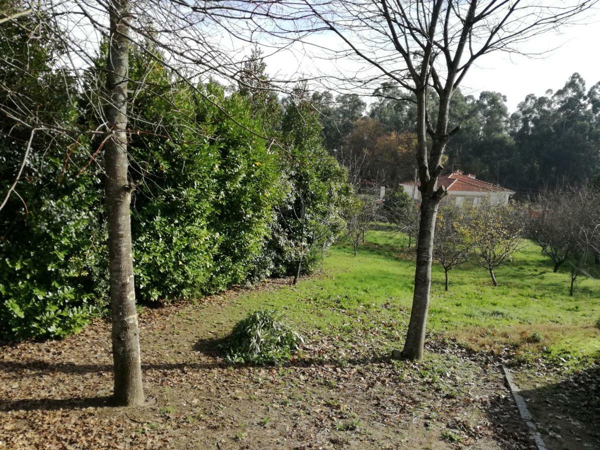 Figueiro Casa Da Costeira 빌라 외부 사진